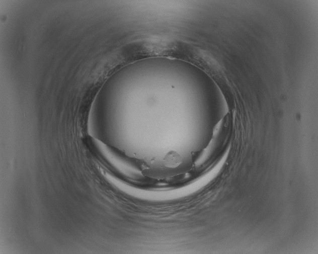 X0000070190221200605261206