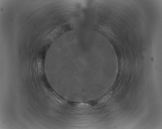 X0000070190222200605261206