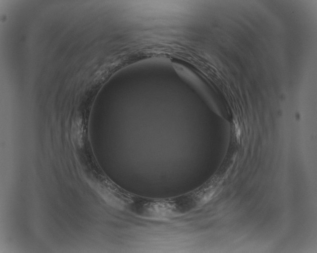 X0000070190223200605261206