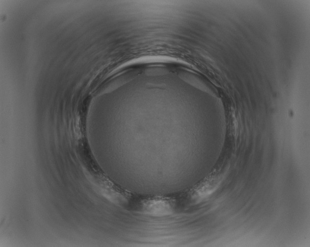 X0000070190224200605261206