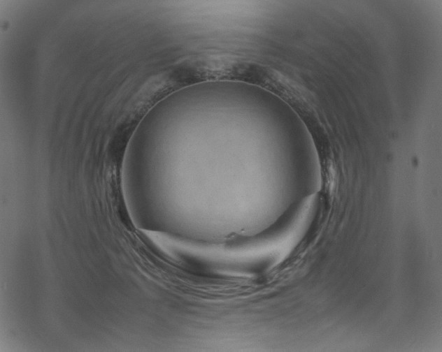 X0000070190225200605261205