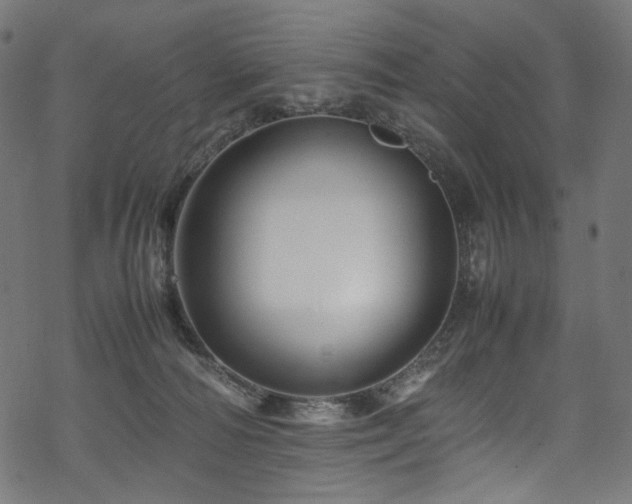 X0000070190226200605261205