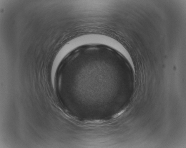 X0000070190227200605261205