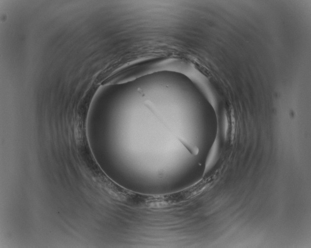 X0000070190228200605261205