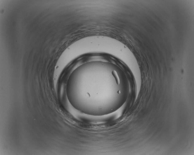 X0000070190229200605261205