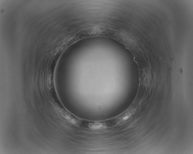 X0000070190230200605261205