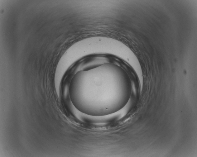 X0000070190231200605261205