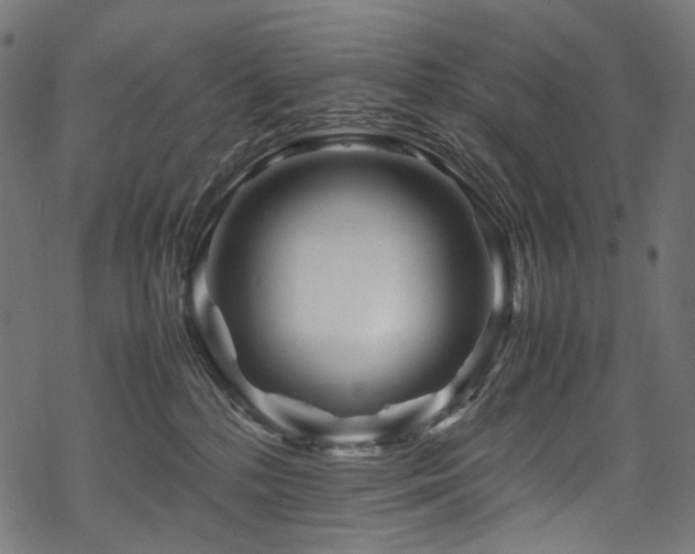 X0000070190232200605261205