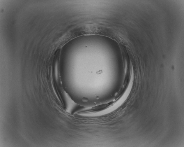 X0000070190233200605261205