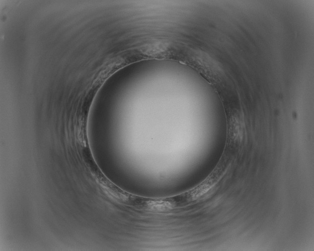 X0000070190234200605261205