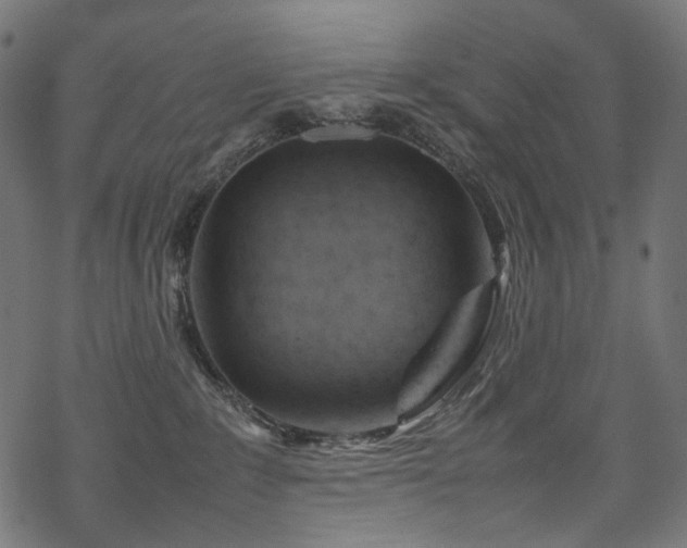 X0000070190235200605261205