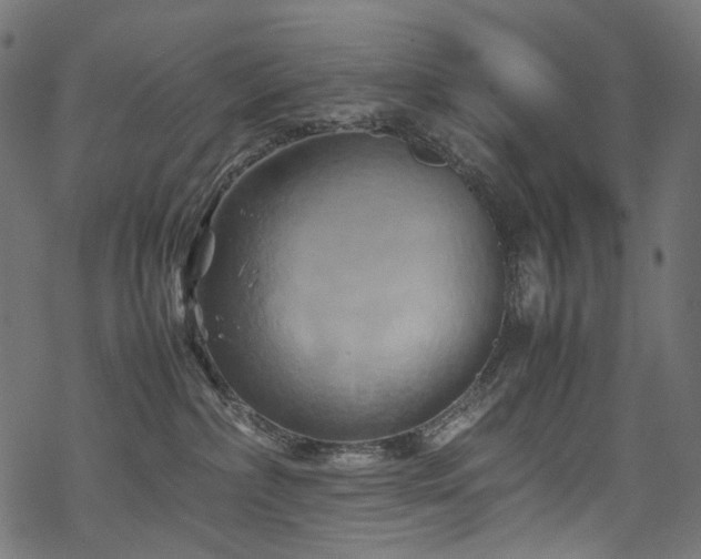 X0000070190236200605261205