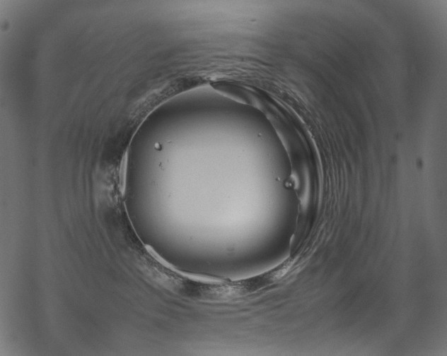 X0000070190237200605261205