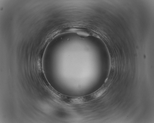 X0000070190238200605261205