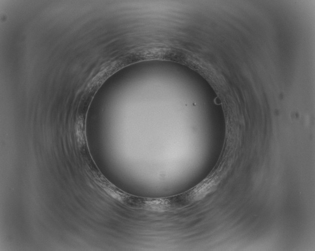 X0000070190240200605261205