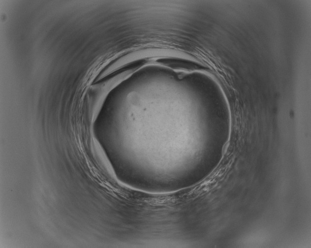 X0000070190241200605261204