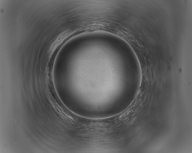 X0000070190242200605261204