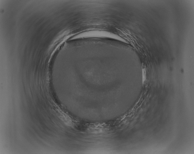 X0000070190243200605261205