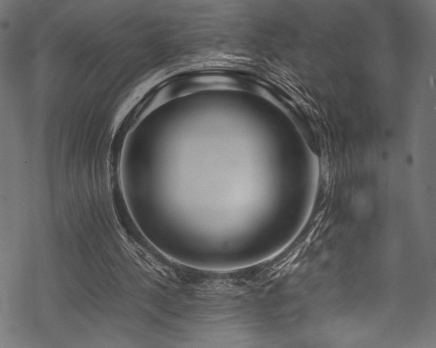 X0000070190244200605261205