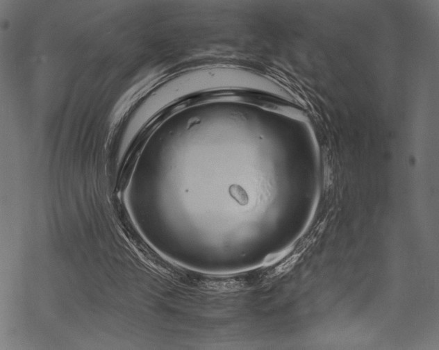 X0000070190245200605261205