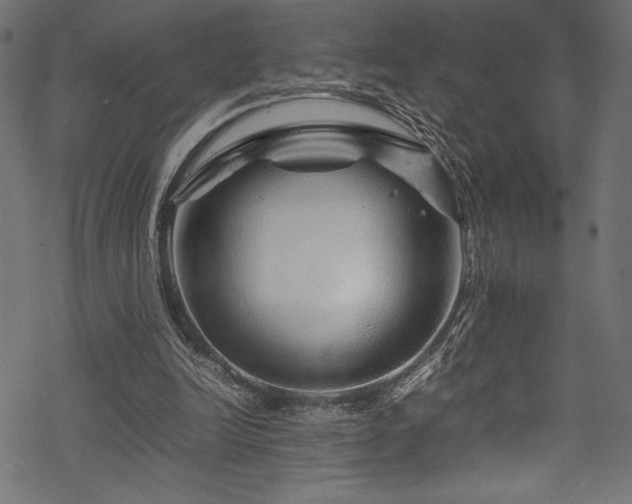 X0000070190246200605261205