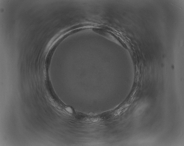 X0000070190247200605261205