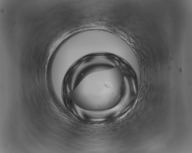 X0000070190248200605261205