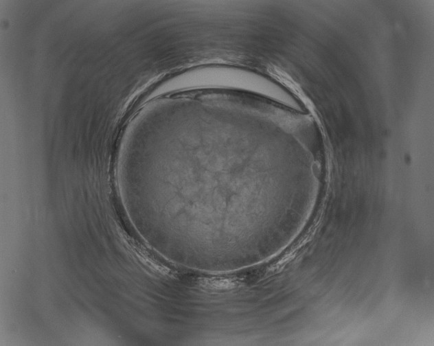 X0000070190249200605261205