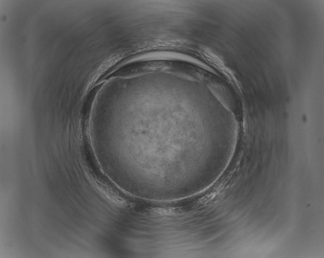 X0000070190250200605261205