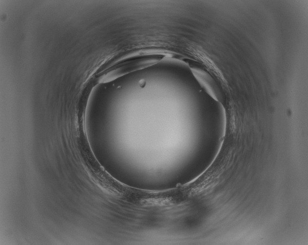 X0000070190251200605261205