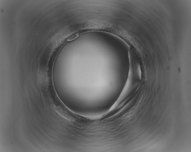 X0000070190252200605261205