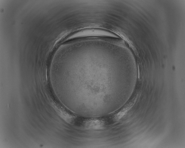 X0000070190253200605261205