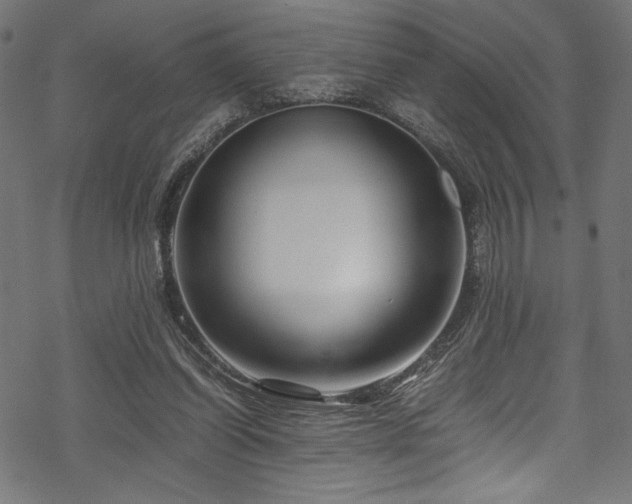 X0000070190254200605261205