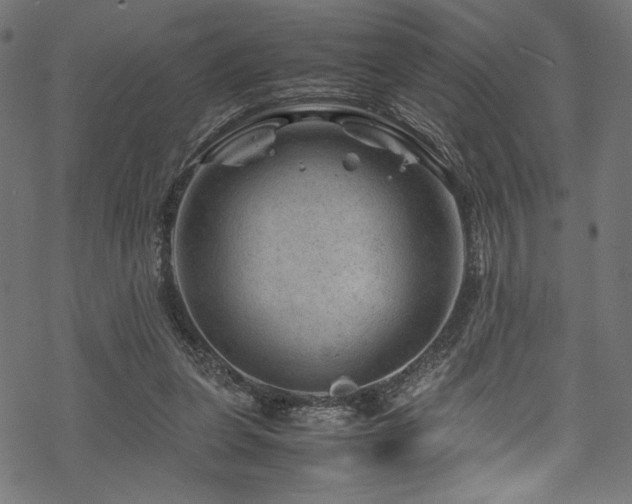 X0000070190255200605261205