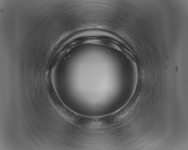 X0000070190256200605261205