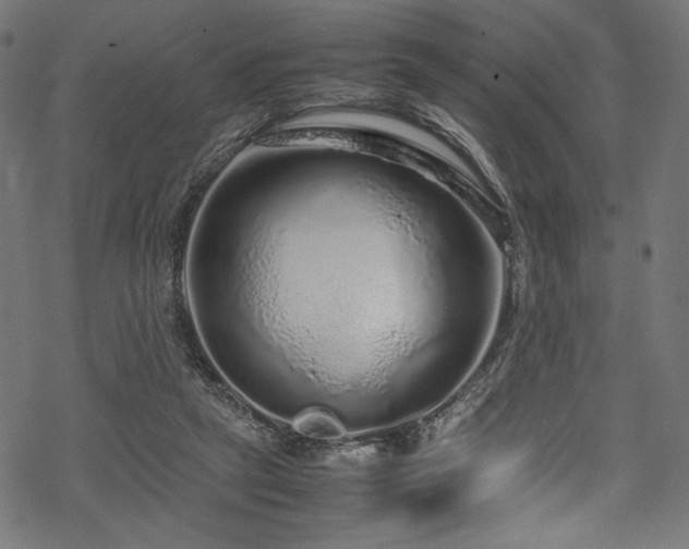 X0000070190257200605261205