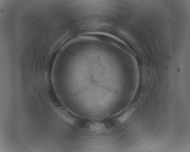 X0000070190258200605261205