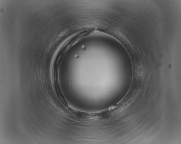 X0000070190260200605261205