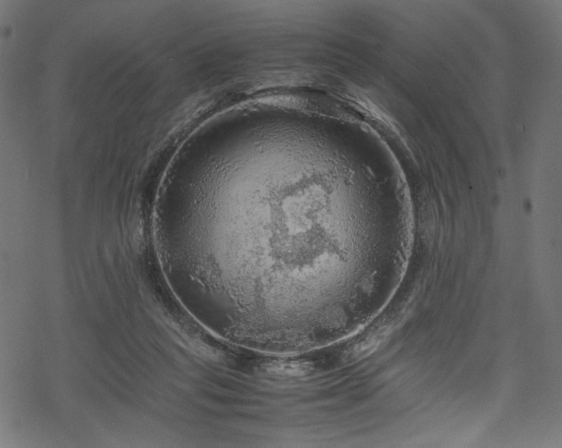 X0000070190261200605261205