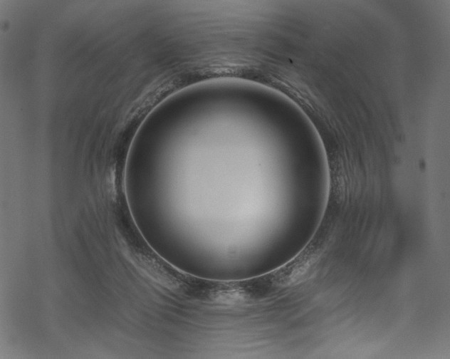 X0000070190262200605261205