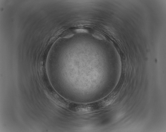 X0000070190263200605261205