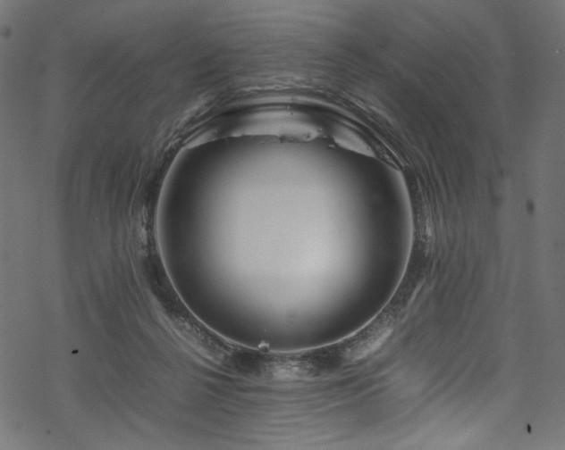 X0000070190264200605261205