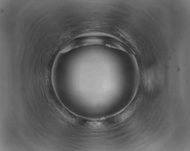 X0000070190265200605261205