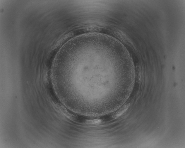 X0000070190266200605261205