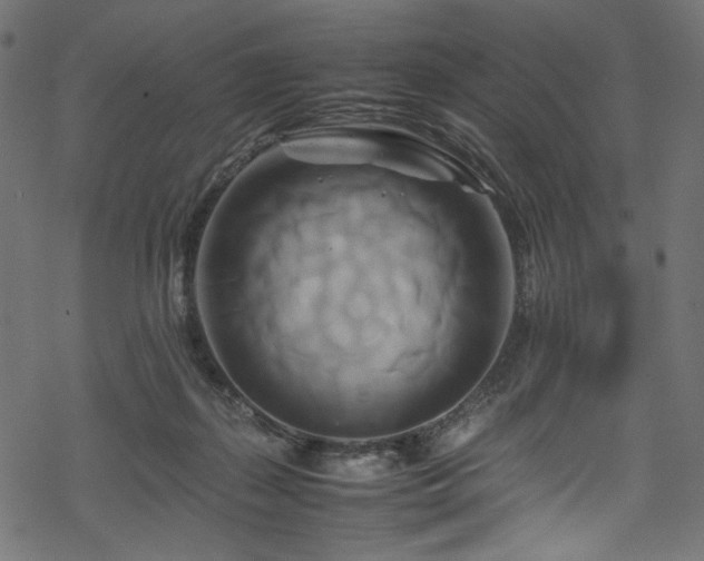 X0000070190267200605261205