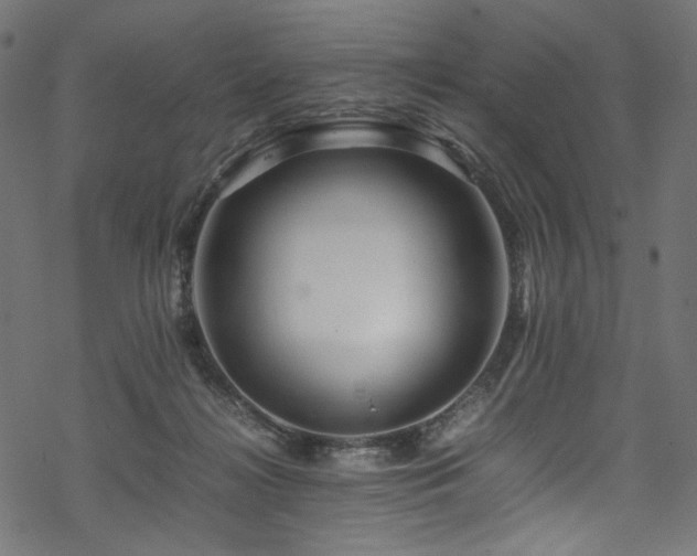 X0000070190268200605261205