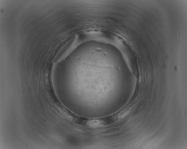 X0000070190269200605261205