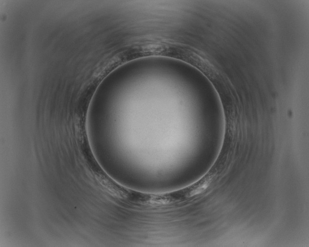 X0000070190270200605261205