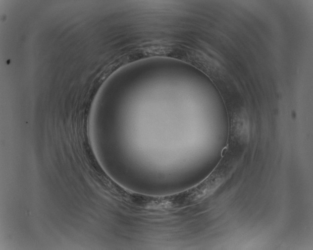 X0000070190271200605261205