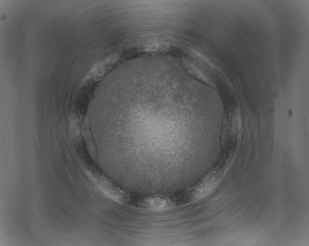 X0000070190272200605261205